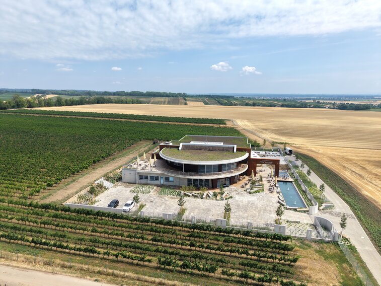 Vinařství Nechory